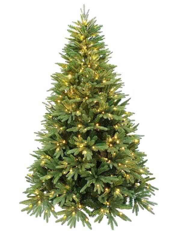 Evergreen Valley Fraser Fir Christmas Tree