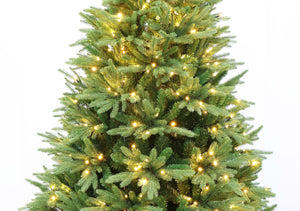 Evergreen Valley Fraser Fir Christmas Tree