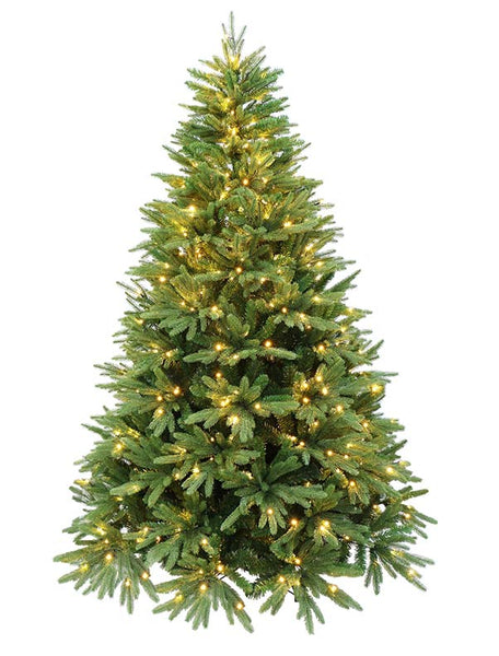 Premium Fraser Fir Christmas Tree - EverGreen - Boston Christmas Tree  Delivery & Tree Lot