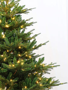 Rocky Mountain Fir Wide Artificial Christmas Tree Pre-lit